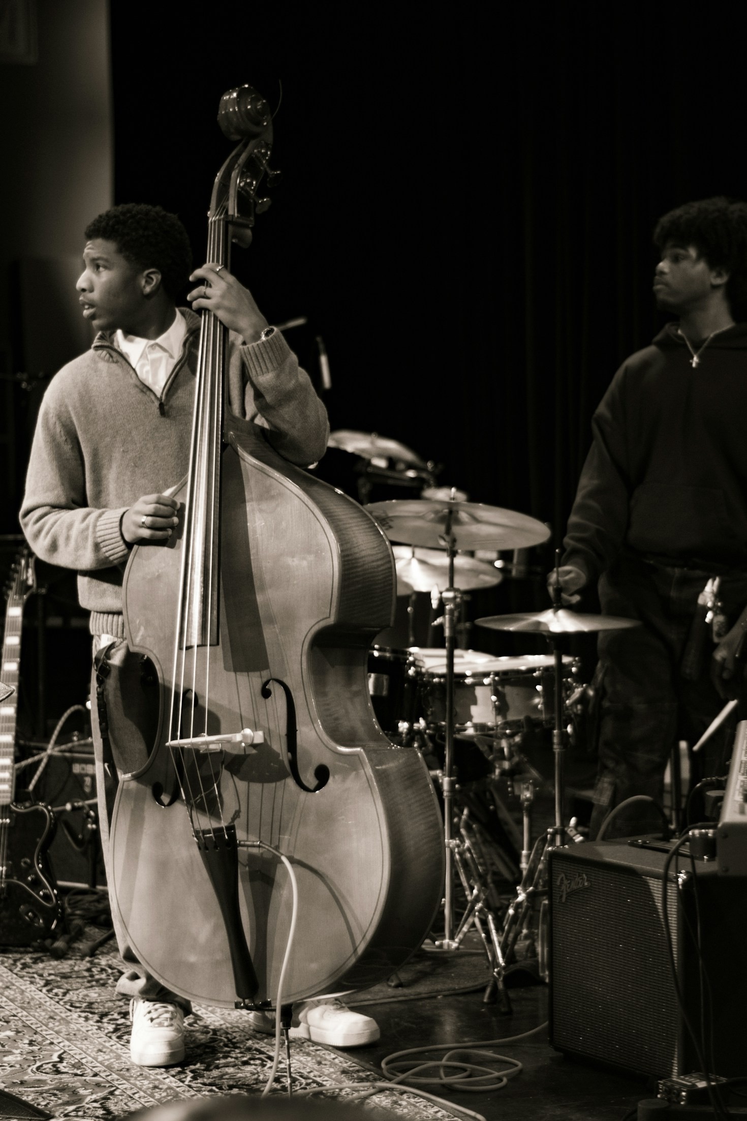 TerraMusicale entfesselt die Kraft der Musik